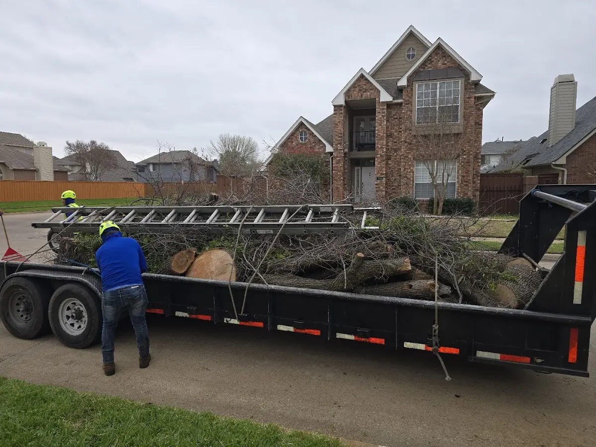 Expert Tree Removal with proper safety equipment in Garland